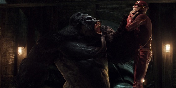 The-Flash-The-CW-Grant-Gustin-Gorilla-Grodd-Season-1 The-Flash-The-CW-Grant-Gustin-Gorilla-Grodd-Season-1