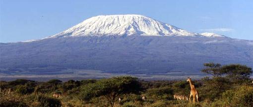 Kilimanjaro Kilimanjaro