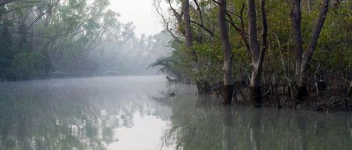 Sundarbans Sundarbans