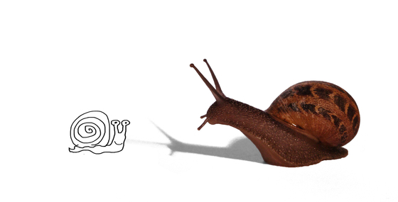 6a00d8341bfb1653ef014e8a7bbe11970d 6a00d8341bfb1653ef014e8a7bbe11970d