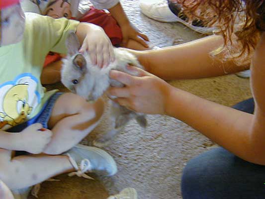 Masia pairal canadell