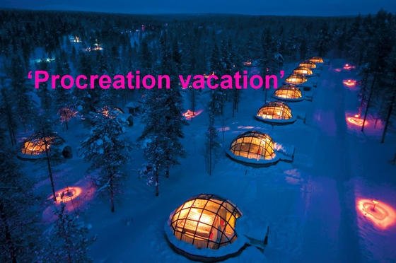 6a00d8341bfb1653ef017d3cbc4f1a970c