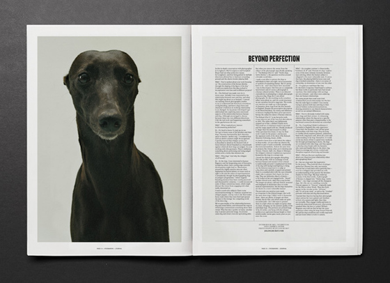 FourSons_beyondperfection