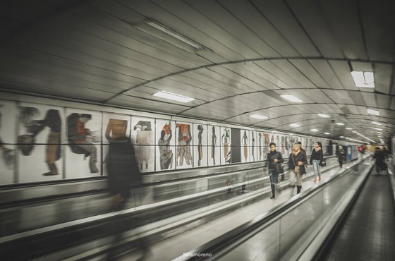 11014942_797406630337039_4533741505416883774_n