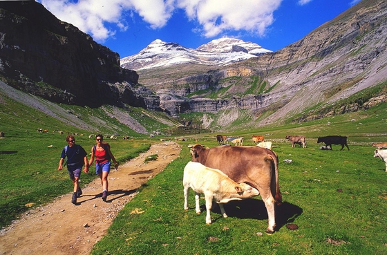 Ordesa Isidoro Merino