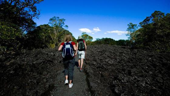 Fullers-rangitoto-island2