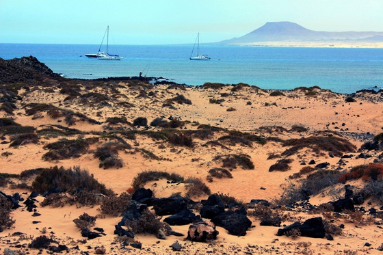 6a00d8341bfb1653ef0168eb10f92d970c