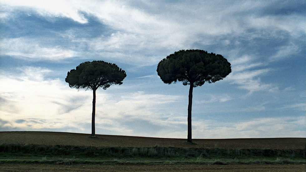 Un paisaje manchego de la zona donde está Olivares del Júcar, en Cuenca.