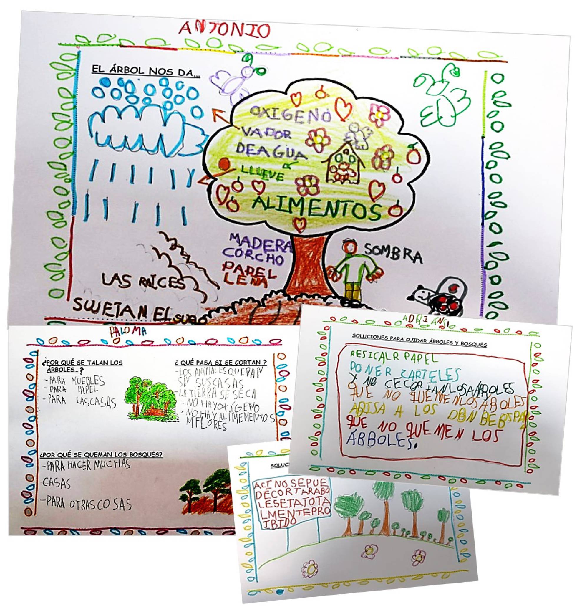 Cuidamos la naturaleza | MERCEDES LÓPEZ