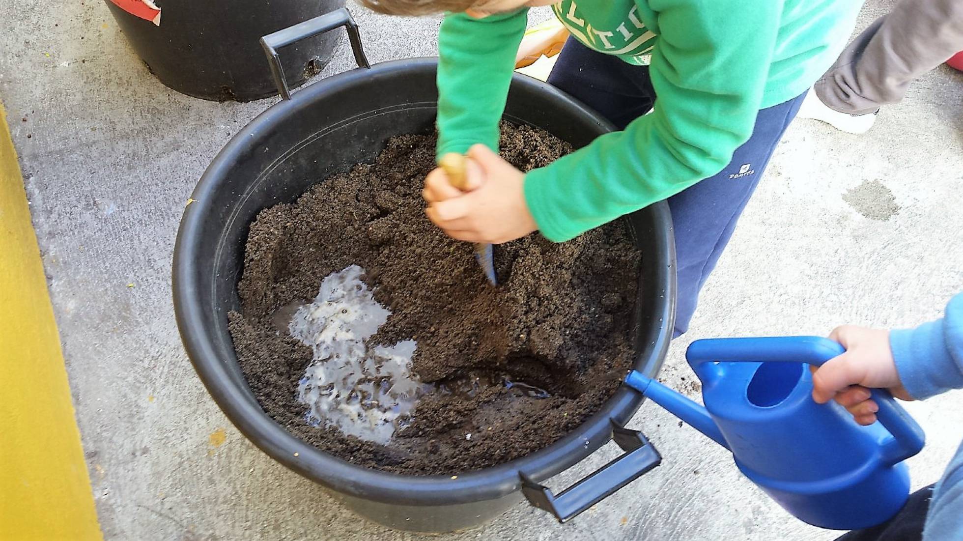 La importancia de las flores | MERCEDES LÓPEZ