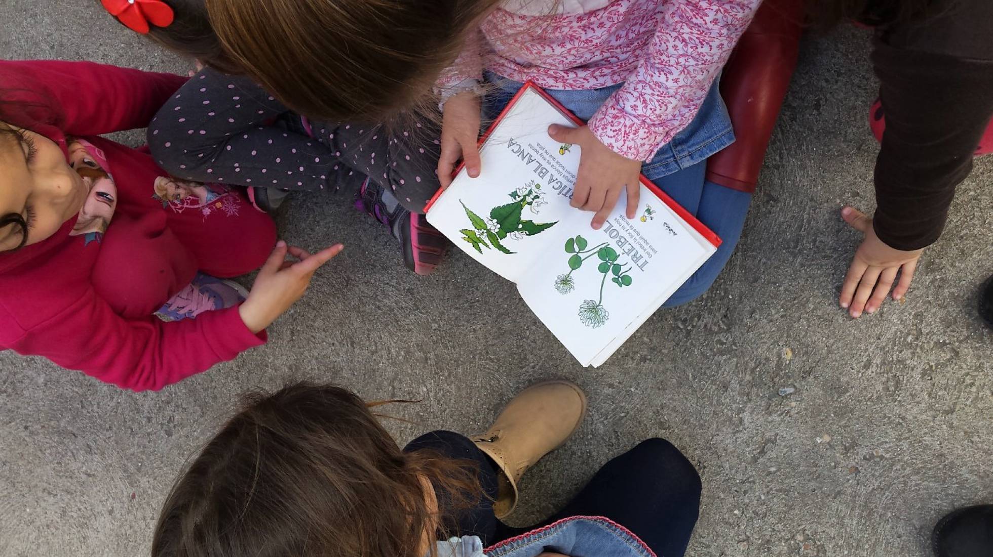 Trajimos al recreo nuestras pequeñas enciclopedias | MERCEDES LÓPEZ