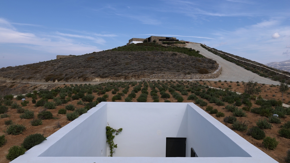 Cada uno de los cuatro patios blancos que iluminan la casa se percibe a vista de pájaro como un agujero en el paisaje. La cubierta está sembrada de vegetación que aísla térmicamente y camufla la vivienda en el entorno rural.