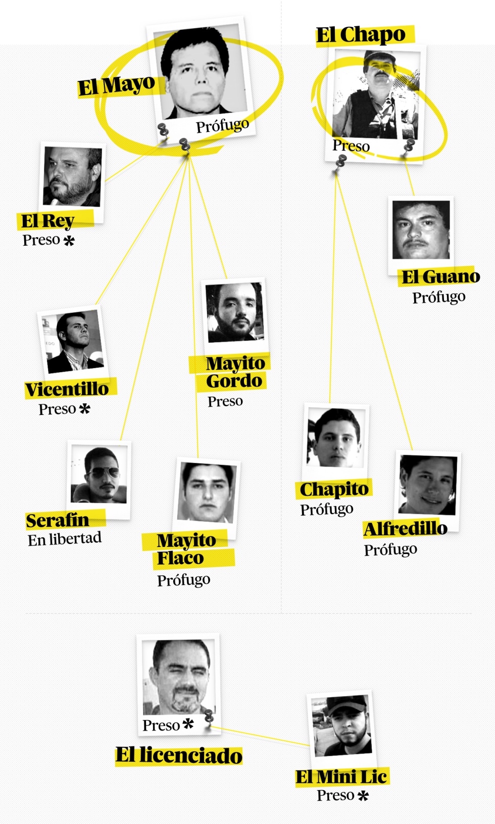 Las tres familias en liza del cartel de Sinaloa. A la izquierda, cuatro de los hijos de Ismael 'El Mayo' Zambada y su hermano Jesús, 'El Rey'. Por parte de El Chapo, su hermano Aureliano 'El Guano' Guzmán, y dos de sus hijos (Iván Archivaldo, 'Chapito', y Jesús Alfredo) quienes lucharon por el control del cartel contra Damaso López Núñez, 'El Lincenciado' (abajo), y su hijo, El MiniLic. Marcados con un * aquellos narcos que testificaron en el juicio de El Chapo.