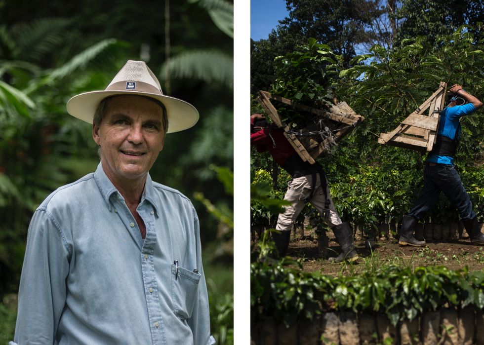 La trampa de la capital del sur