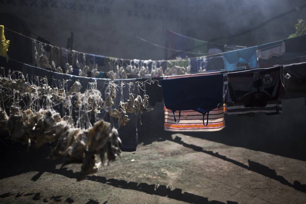 Vivienda de don Chicho