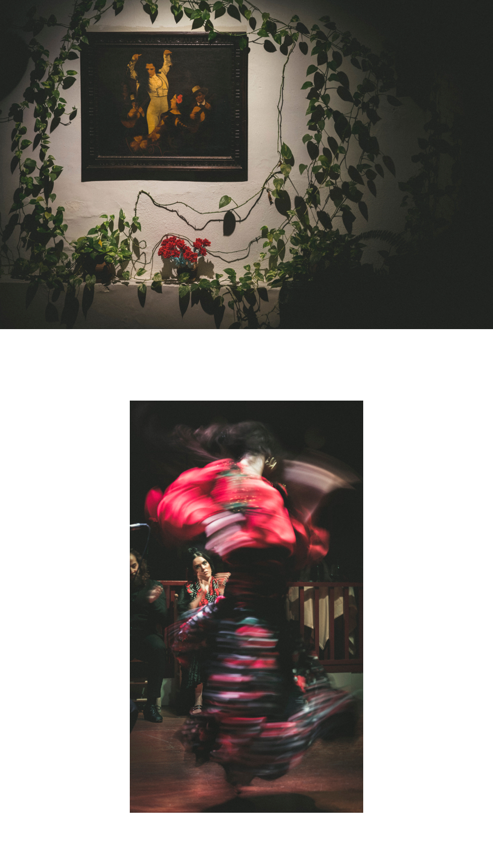 El mapa de los orígenes de Rosalía